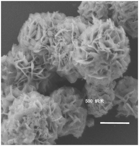 Method for efficiently degrading organic pollutants by using WSe2 nano-sheets piezoelectric catalyst