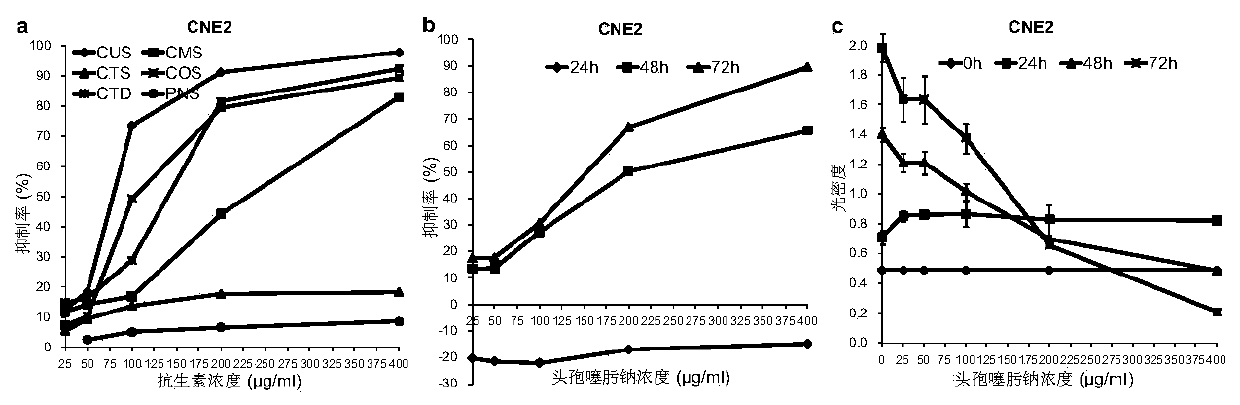 Application of cephalosporin antibiotics as anticancer medicines and anticancer medicines