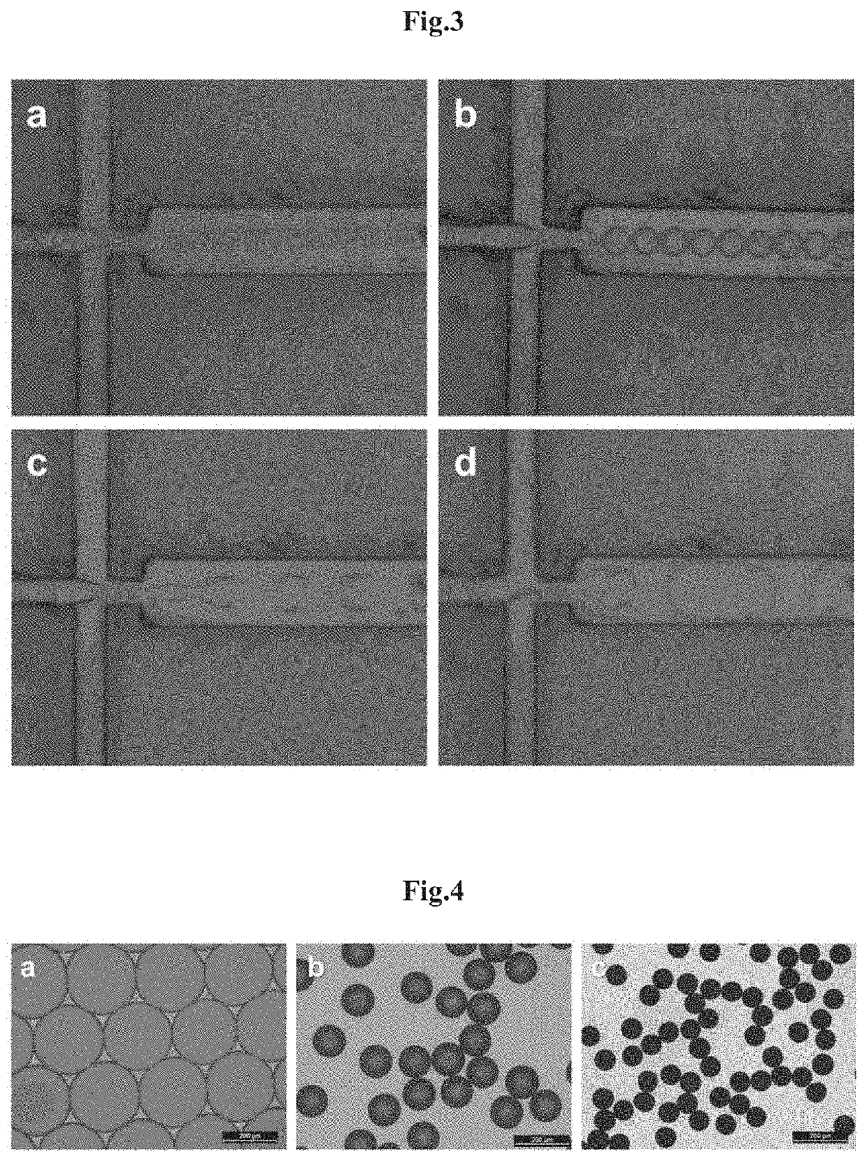 Porous microspheres including mussel adhesive protein, and method for manufacturing same