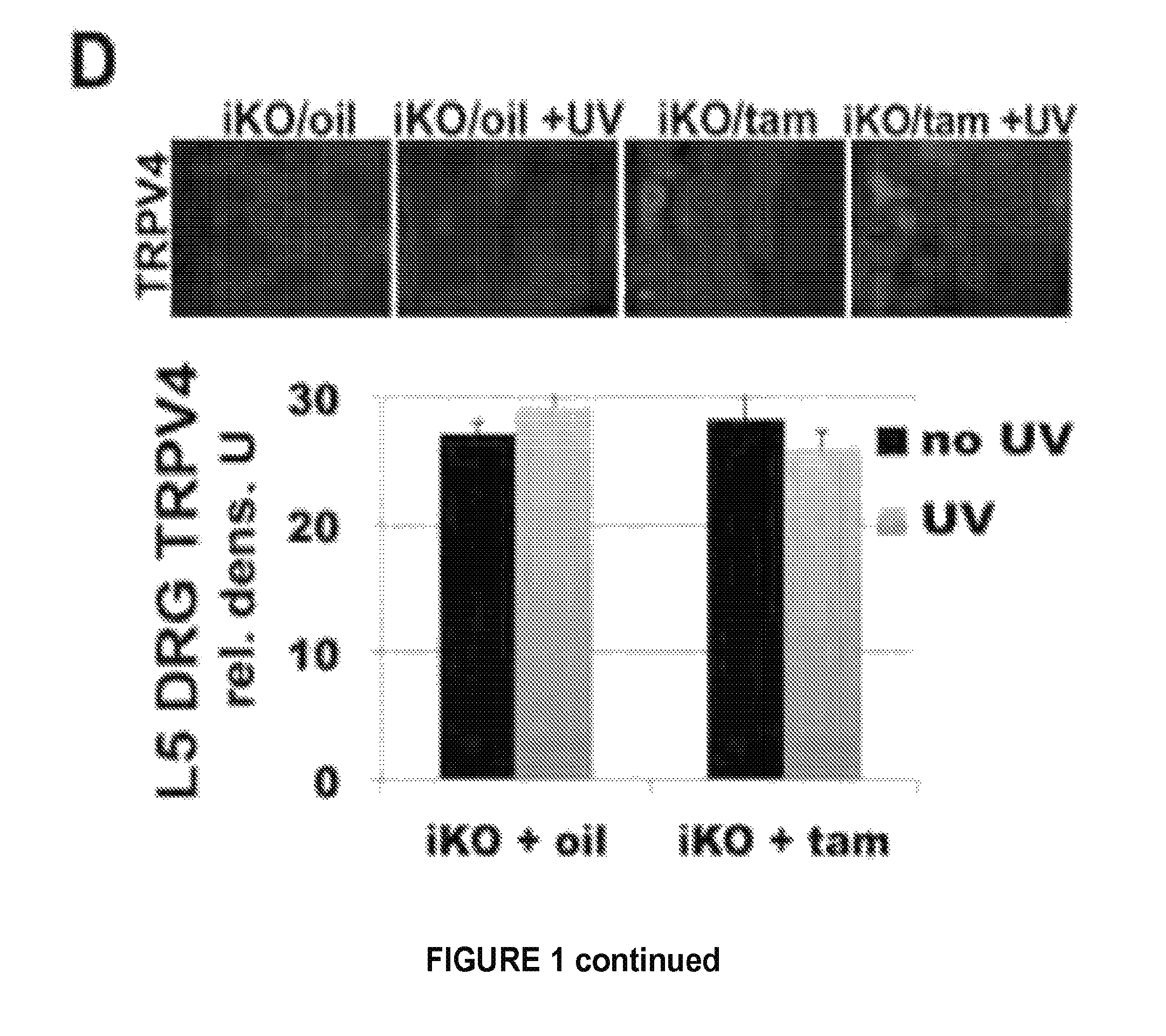 Activation of TRPV4 ion channel by physical stimuli and critical role for TRPV4 in organ-specific inflammation and itch