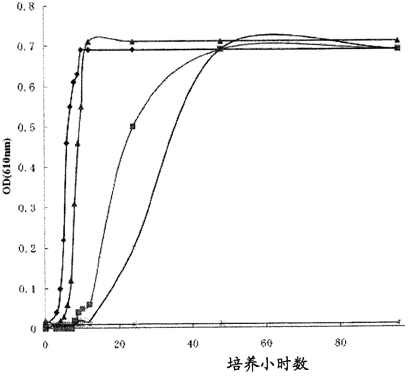 Antimicrobial compositions