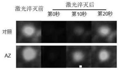 Application of alfuzosin compound in prevention or treatment of Alzheimer's disease and related diseases