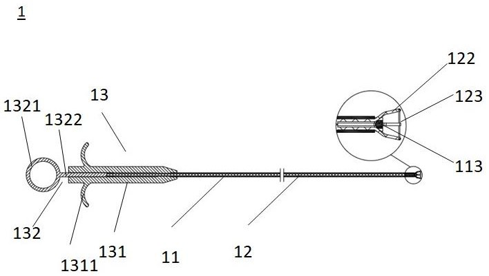 Capsule gastroscope extractor