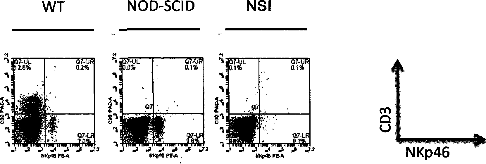 Method for establishing immunodeficiency mouse model