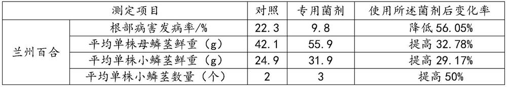 Special disease-preventing growth-promoting microbial agent for Lanzhou lily and preparation method thereof