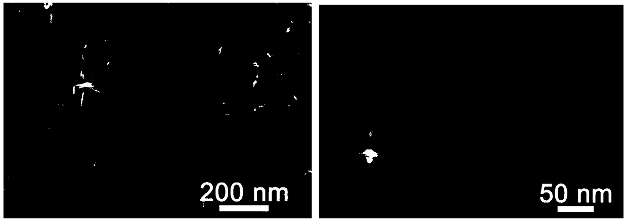 Preparation method for nanorod-cluster-shaped Pt