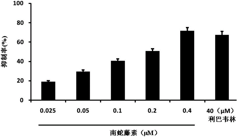 Applications of celastrol