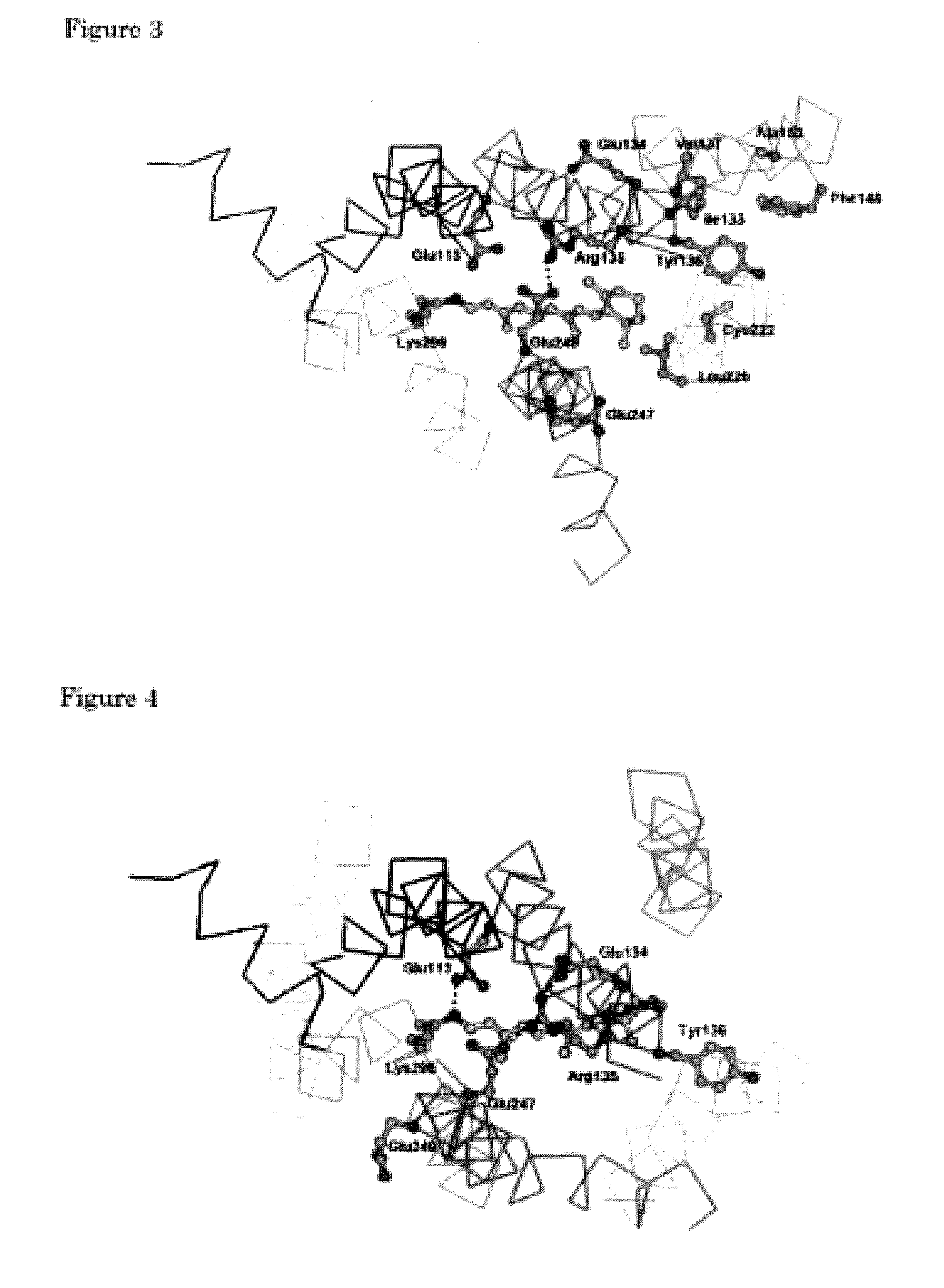 Structural Model Of G Protein-Coupled Receptor And Method For Designing Ligand Capable Of Binding To G Protein-Coupled Receptor Using The Structural Model