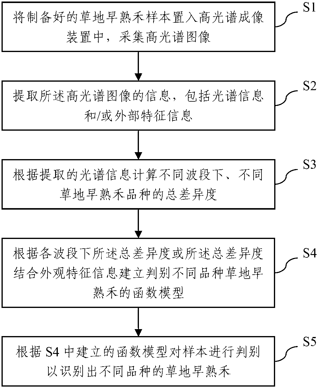 Poa pratensis variety identification method based on hyper-spectral image