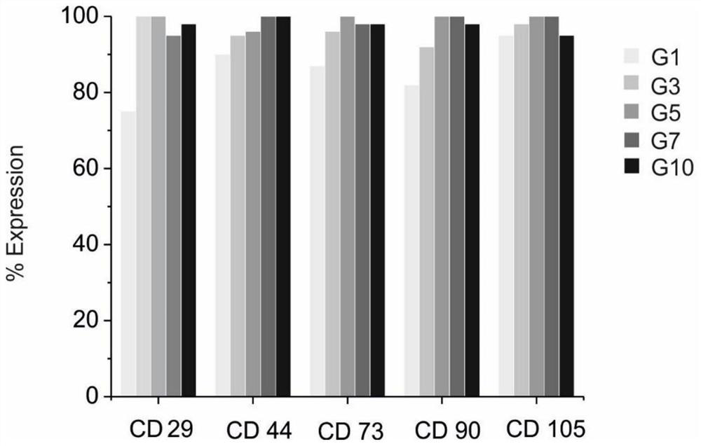 A kind of amphiphilic polymer for promoting stem cell interface adhesion growth and its preparation method and application