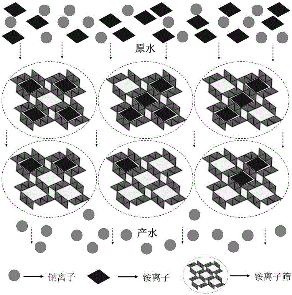 Preparation method of Fe&lt;3+&gt;-doped ammonium ion sieve used for selectively exchanging NH4&lt;+&gt; in water body