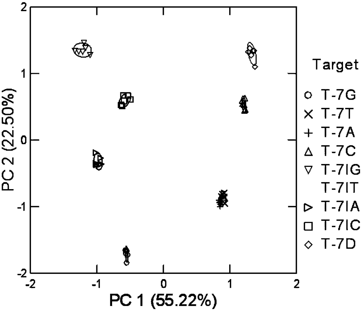 DNA (deoxyribonucleic acid) probe and method for detecting DNA single base mutation