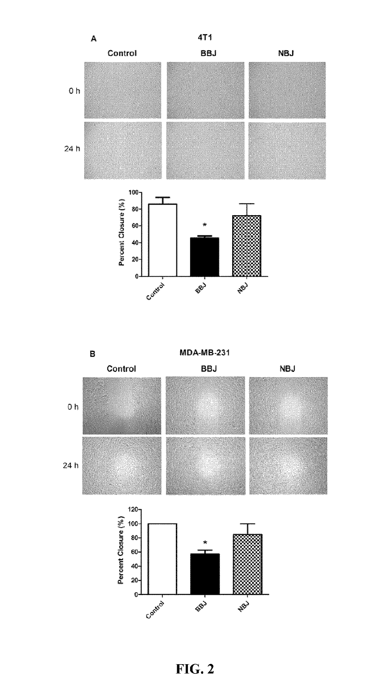 Conpositions and methods for the prevention and treatment of cancer