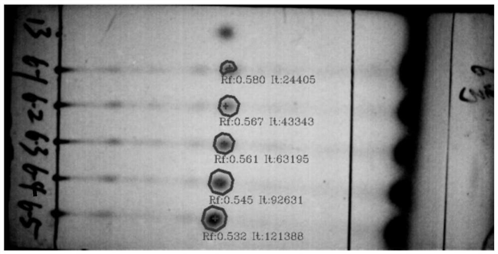 In-situ rapid detection method for acetamiprid in vegetables or fruits