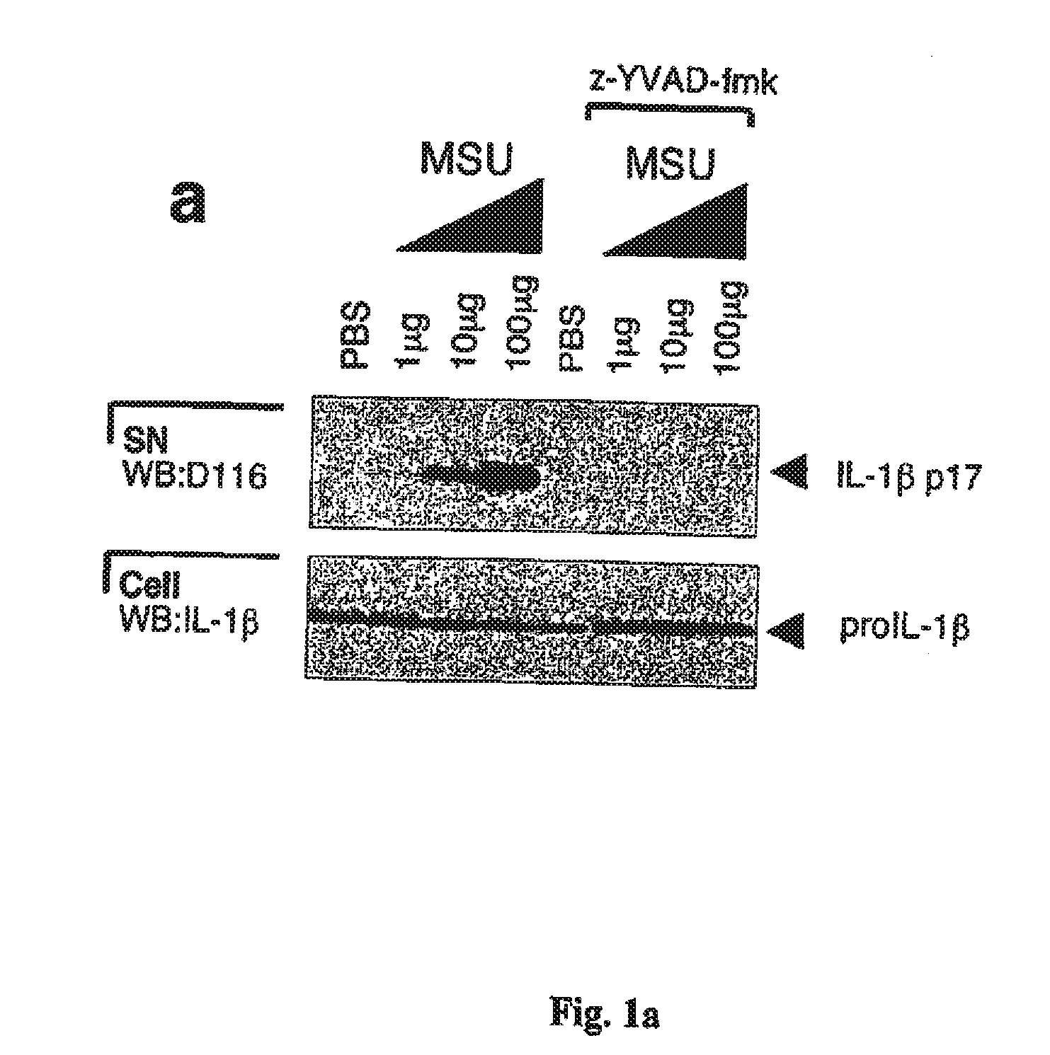 Method for the treatment of gout or pseudogout