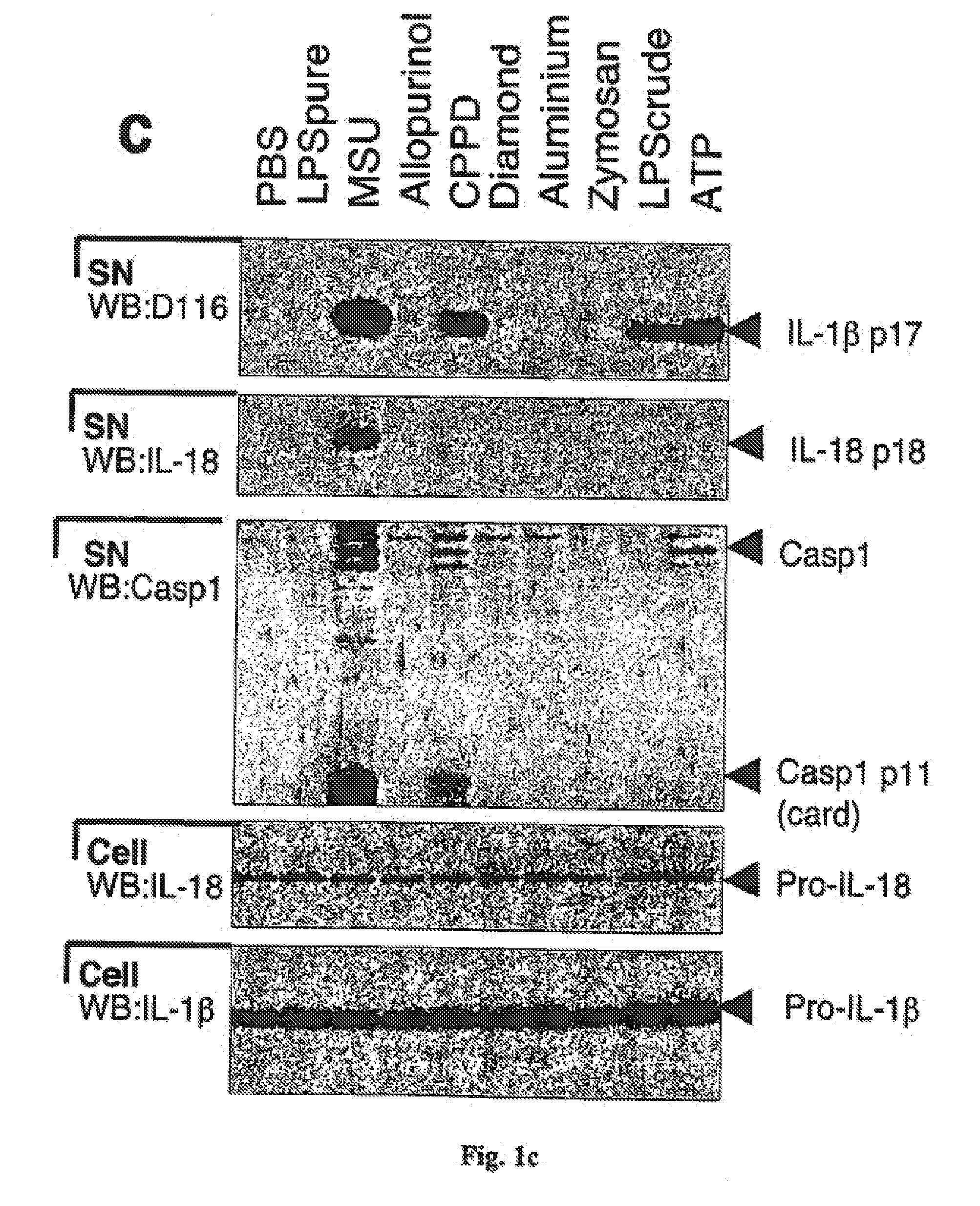 Method for the treatment of gout or pseudogout