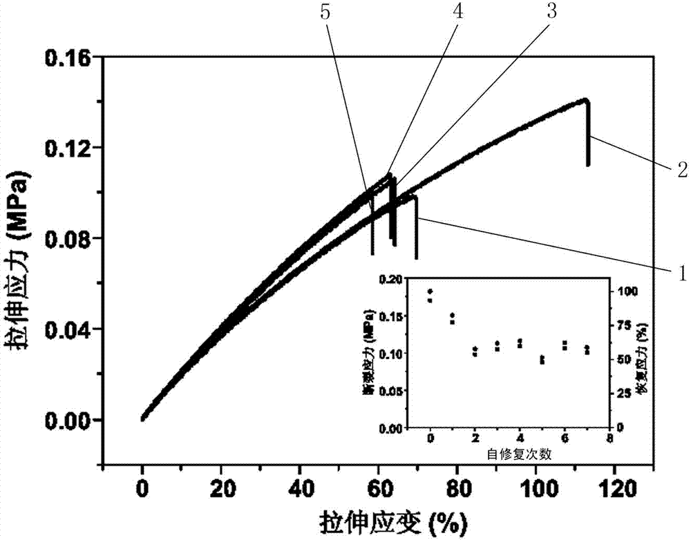 Elastic shape memory material with repeated self-repairing function and preparation method thereof