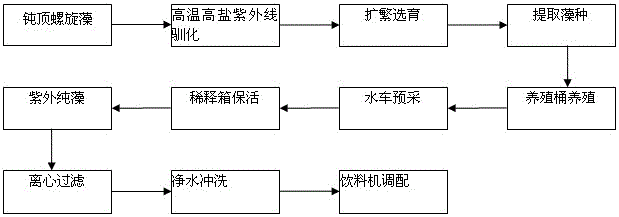 Commercial machine for cultivating fresh microalgae and method for producing and selling fresh microalgae drink