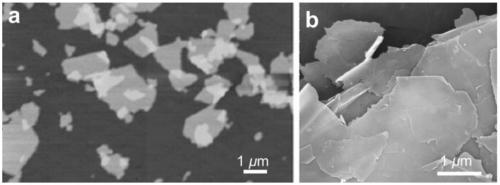 High-performance graphene concrete and preparation method thereof