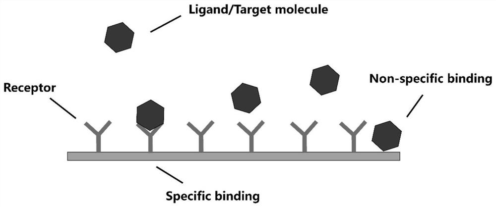 Amplification-free nucleic acid detection method