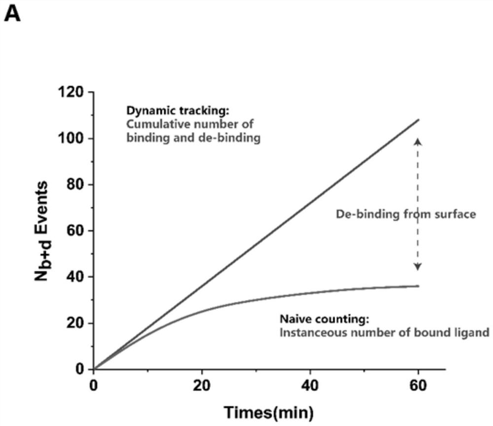 Amplification-free nucleic acid detection method