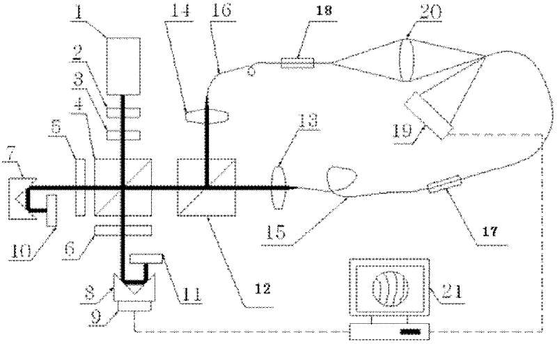 Optical system wave aberration detection device