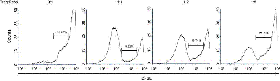 Cord blood regulative T-cell in-vitro amplification method