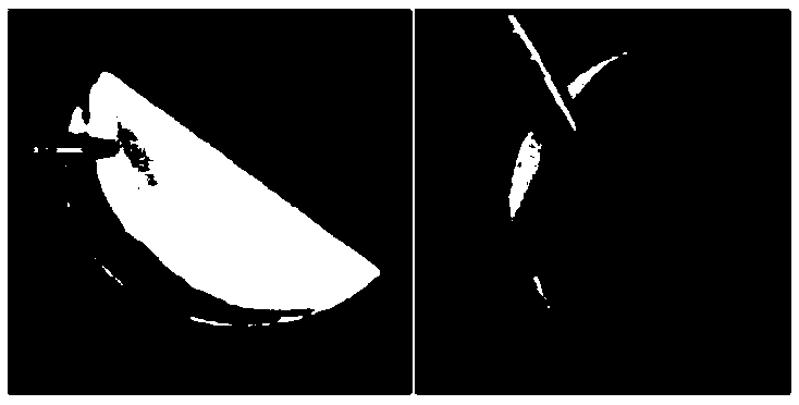 Battery diaphragm with high-temperature-resistant metal-organic frame material coating, and preparation method and application thereof