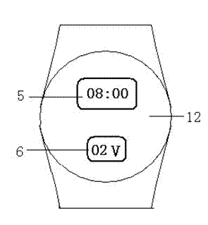 Electrostatic elimination wrist watch