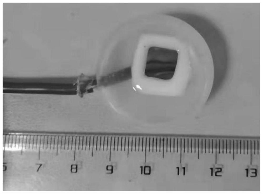 Method for detecting carbide in steel