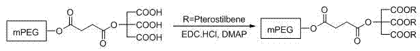 PEG/mPEG (Polyethylene Glycol) multi-carboxyl chemical modifying agent connected with citric acid, preparation method and application thereof in modification of toluylene compound