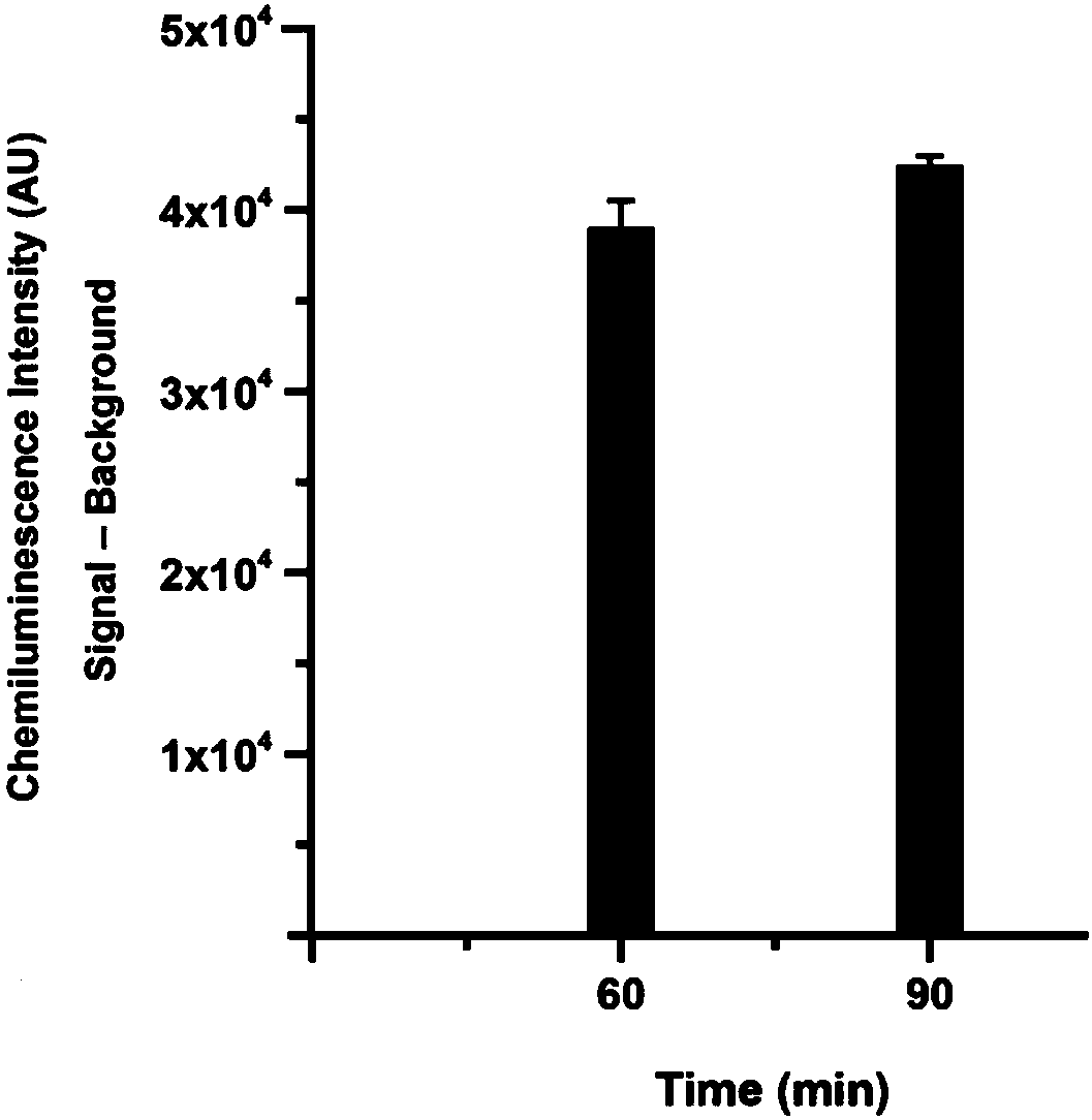 Method for quantitatively assaying serum miRNA by utilizing RNase ONE nuclease and chemiluminescence technology