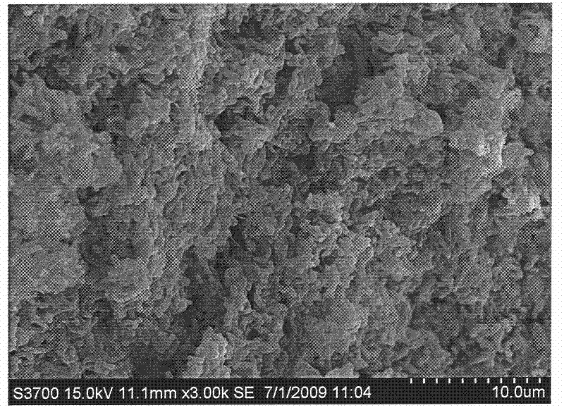 Method for fermented-producing bacteria cellulose with pineapple peel juice by two-step method