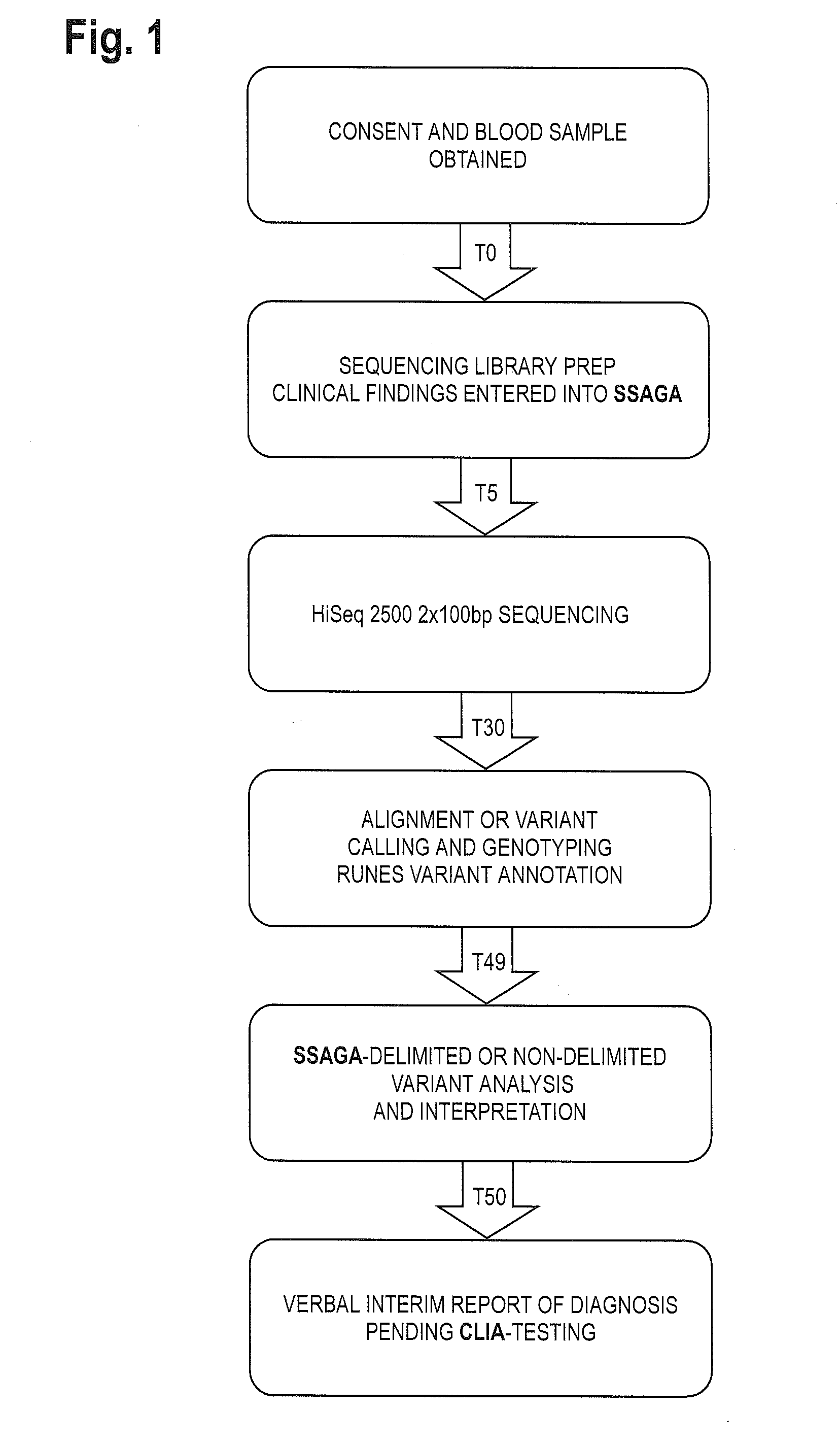 System for genome analysis and genetic disease diagnosis