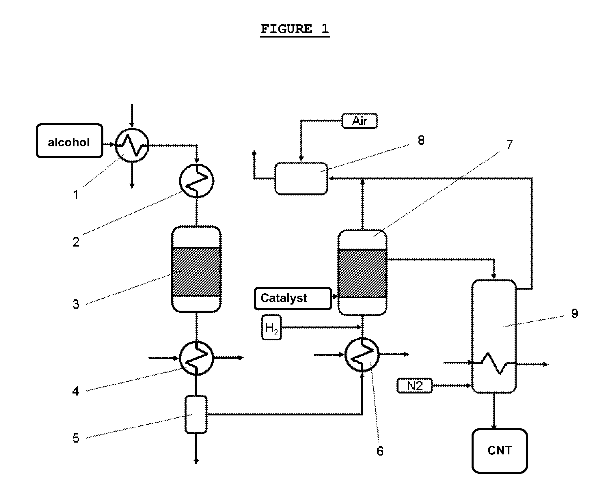 Process for Producing Carbon Nanotubes from Renewable Raw Materials