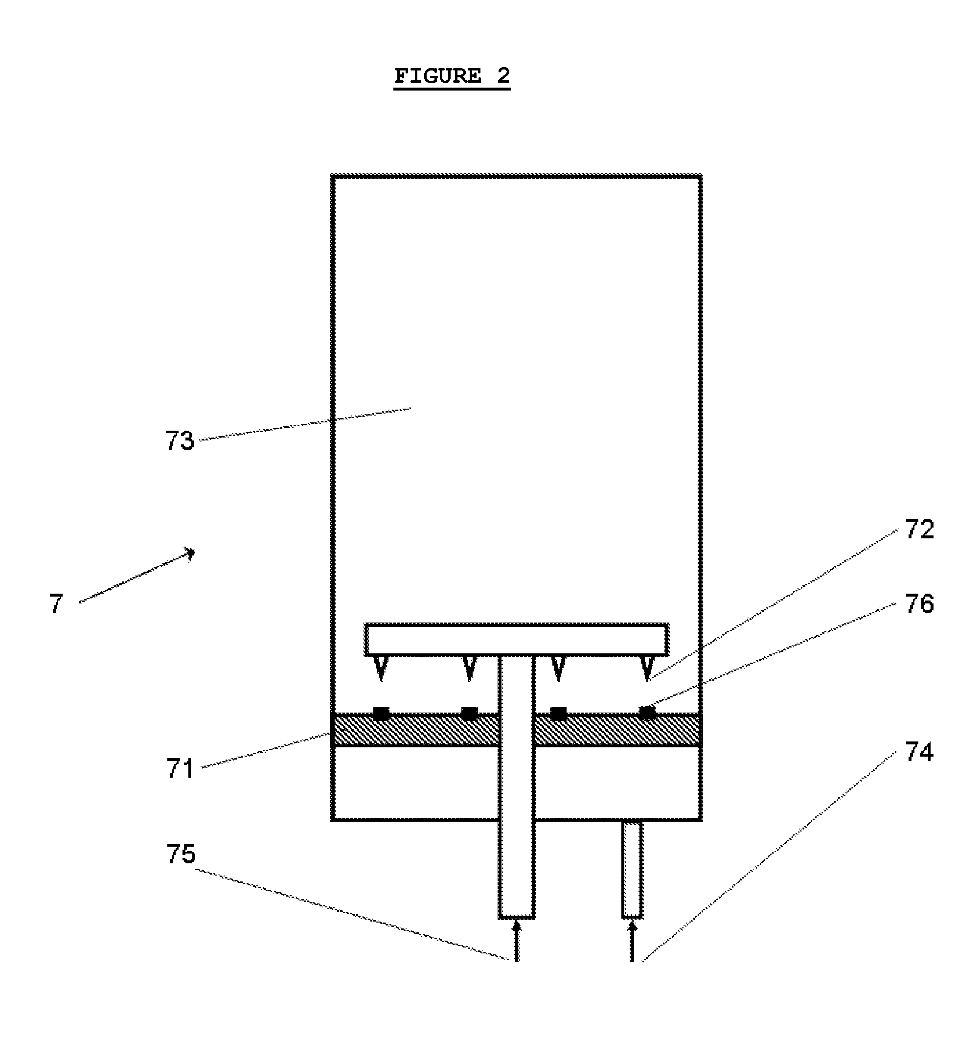 Process for Producing Carbon Nanotubes from Renewable Raw Materials