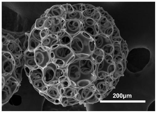 High-porosity polycaprolactone porous microsphere scaffold used for bone tissue regeneration and preparation method for high-porosity polycaprolactone porous microsphere scaffold