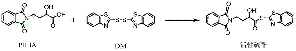 Preparation method of amikacin and intermediate activated thioester thereof