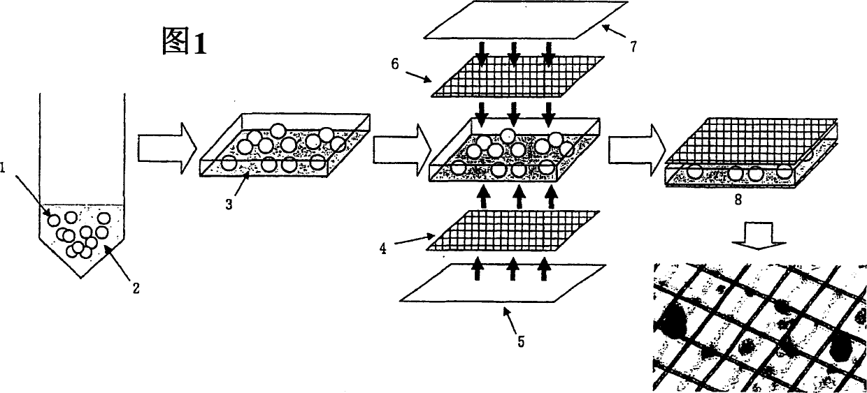 Cellular preparation