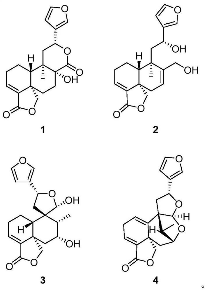 A class of Crotane-type diterpene compounds and their application in pharmacy