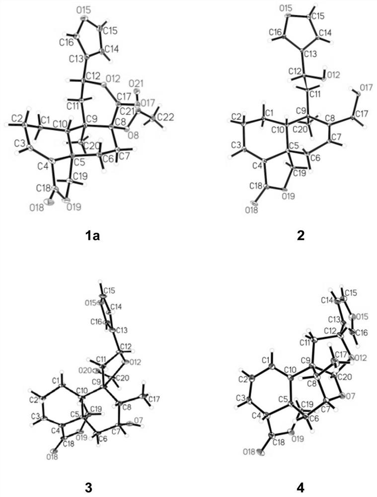 A class of Crotane-type diterpene compounds and their application in pharmacy