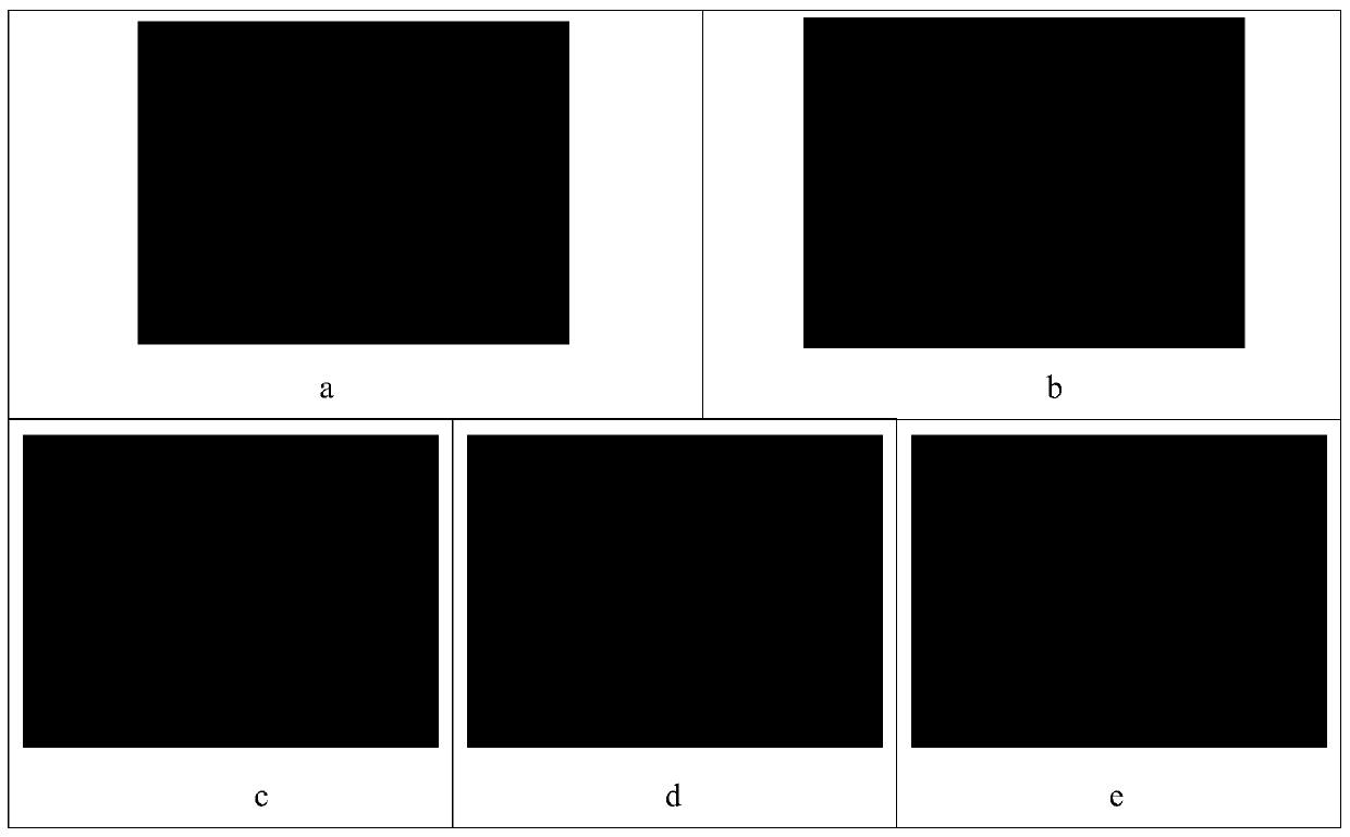 Traditional Chinese medicine composition with protective function on alcoholic liver injury and preparation method thereof