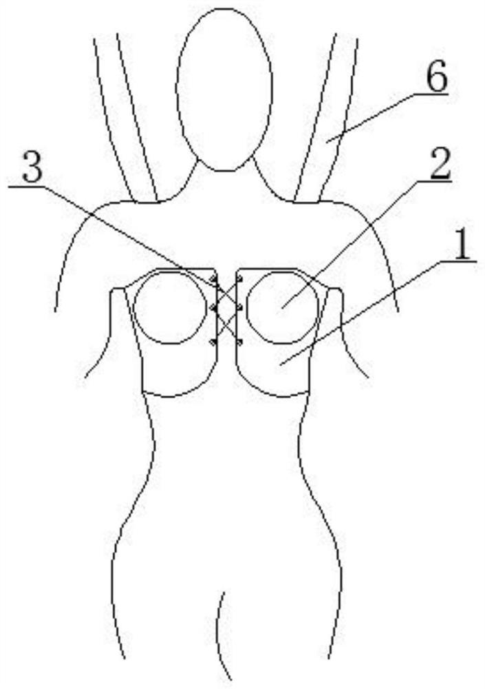 Mammary gland postoperative rehabilitation constraint device