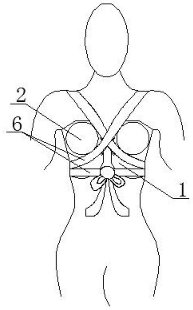 Mammary gland postoperative rehabilitation constraint device