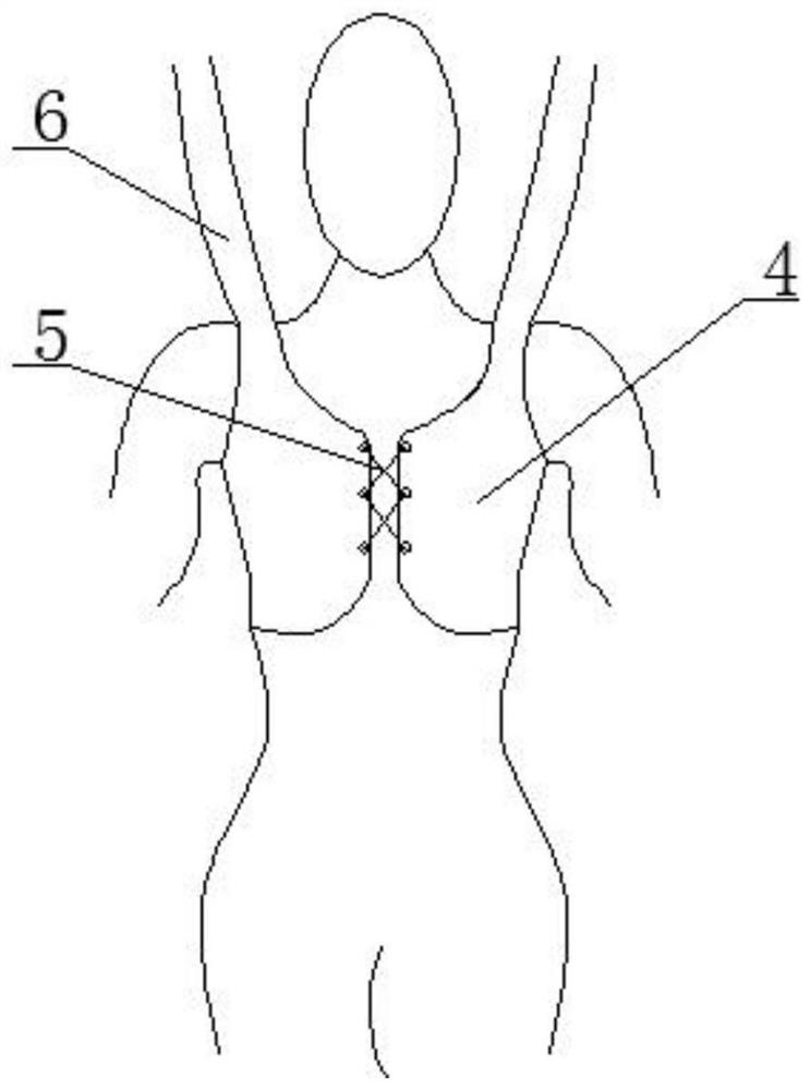 Mammary gland postoperative rehabilitation constraint device