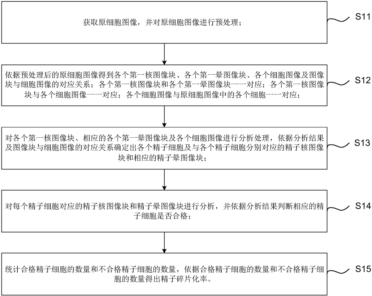 Sperm fragmentization rate detection method, device and method and readable storage medium