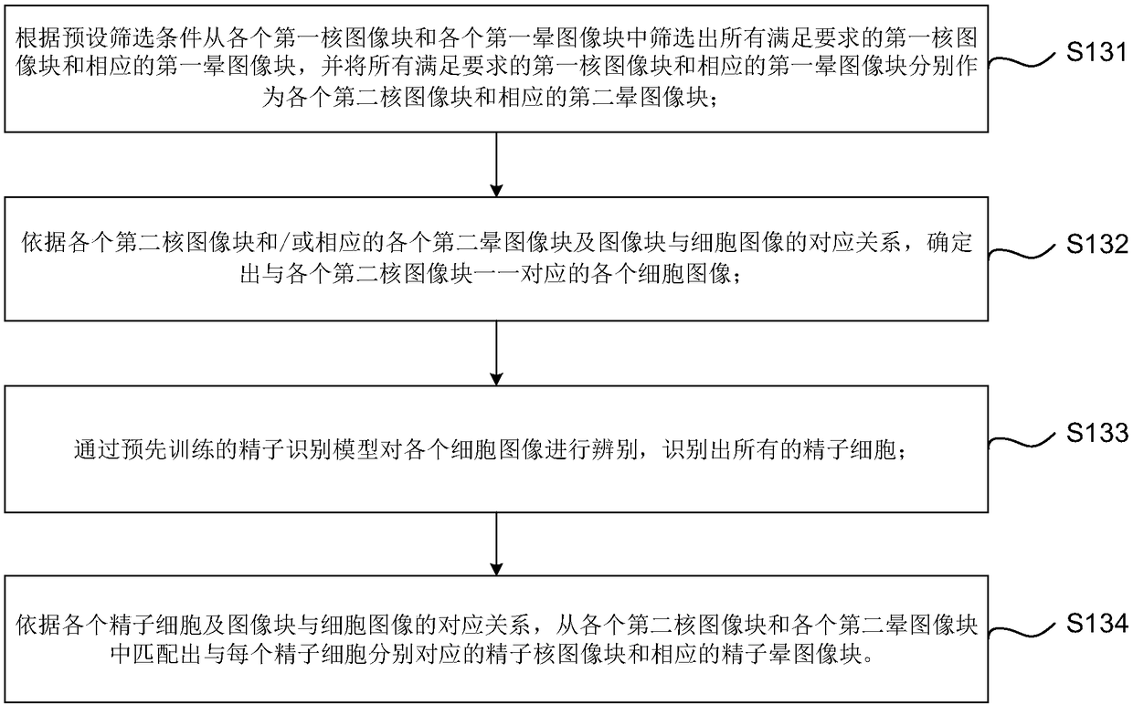 Sperm fragmentization rate detection method, device and method and readable storage medium