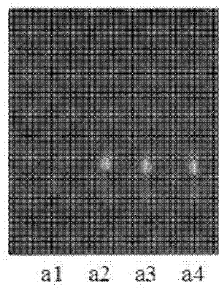 Method for detecting quality of Chinese medicinal capsules for regulating collateral channels and soothing liver