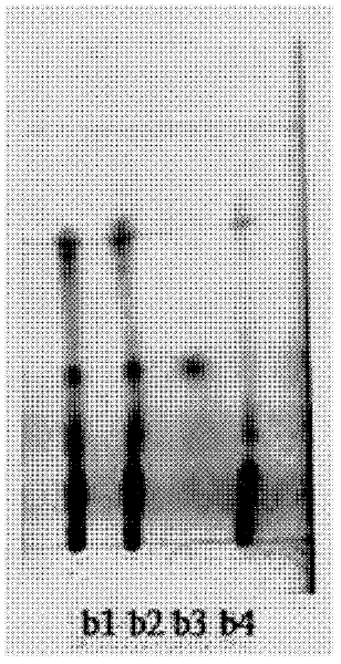 Method for detecting quality of Chinese medicinal capsules for regulating collateral channels and soothing liver