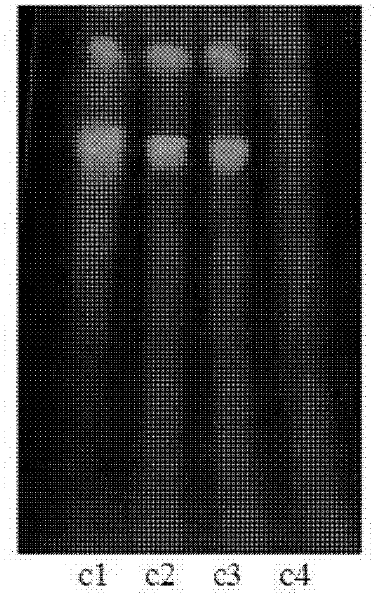 Method for detecting quality of Chinese medicinal capsules for regulating collateral channels and soothing liver